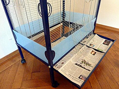 Vogelkäfig, Schublade