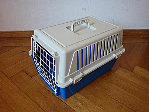 Transportbox, zu